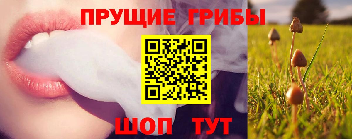 Галлюциногенные грибы прущие грибы  Вход с VPN  Псилоцибиновые грибы GOLDEN TEACHER  Белгород 